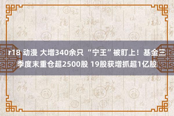 r18 动漫 大增340余只 “宁王”被盯上！基金三季度末重仓超2500股 19股获增抓超1亿股