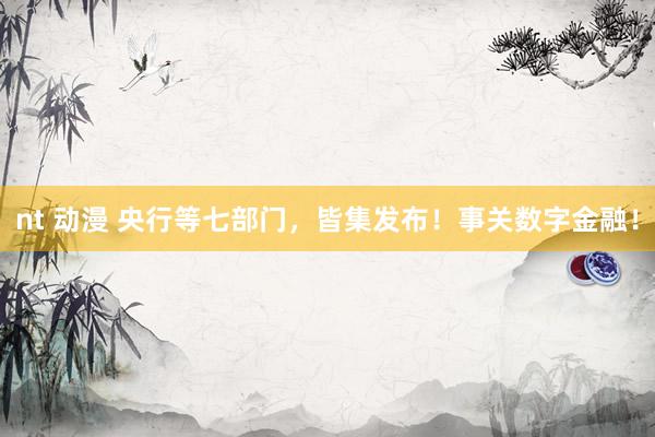 nt 动漫 央行等七部门，皆集发布！事关数字金融！