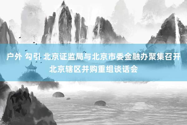 户外 勾引 北京证监局与北京市委金融办聚集召开北京辖区并购重组谈话会