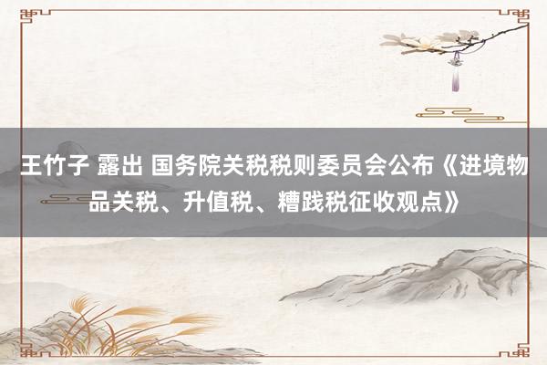 王竹子 露出 国务院关税税则委员会公布《进境物品关税、升值税、糟践税征收观点》