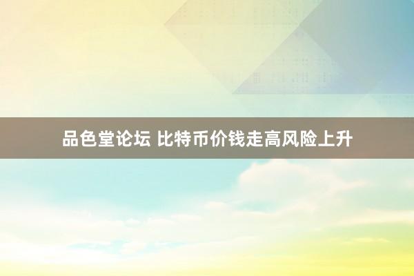 品色堂论坛 比特币价钱走高风险上升
