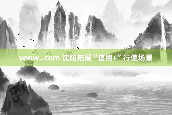 www..com 沈阳拓展“信用+”行使场景