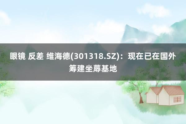 眼镜 反差 维海德(301318.SZ)：现在已在国外筹建坐蓐基地