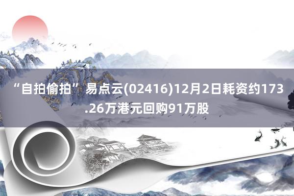 “自拍偷拍” 易点云(02416)12月2日耗资约173.26万港元回购91万股
