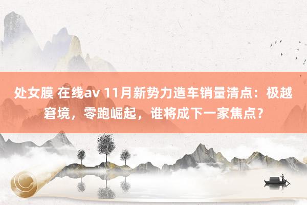 处女膜 在线av 11月新势力造车销量清点：极越窘境，零跑崛起，谁将成下一家焦点？