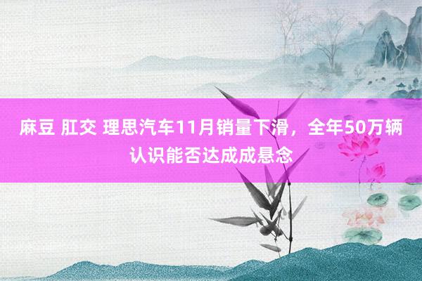 麻豆 肛交 理思汽车11月销量下滑，全年50万辆认识能否达成成悬念