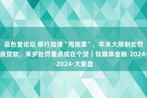 品色堂论坛 银行加速“甩拖累”，年末大限制处罚对公不良贷款，来岁处罚重点或在个贷｜钛媒体金融·2024·大复盘