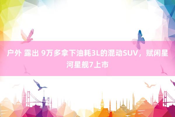 户外 露出 9万多拿下油耗3L的混动SUV，赋闲星河星舰7上市