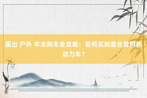 露出 户外 年末购车全攻略：若何买到最合算的新动力车？