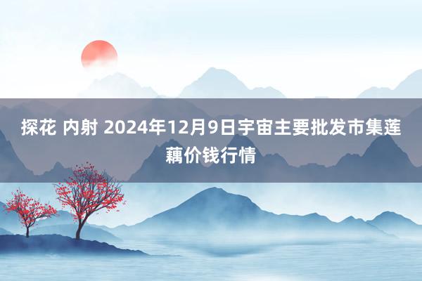 探花 内射 2024年12月9日宇宙主要批发市集莲藕价钱行情