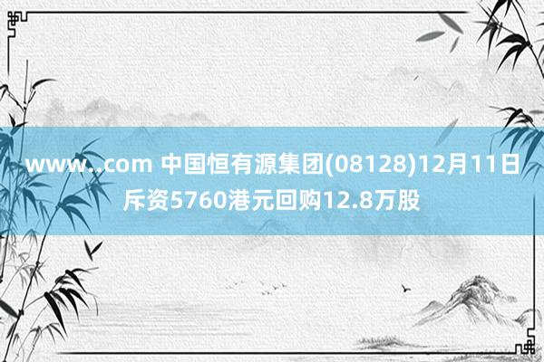 www..com 中国恒有源集团(08128)12月11日斥资5760港元回购12.8万股