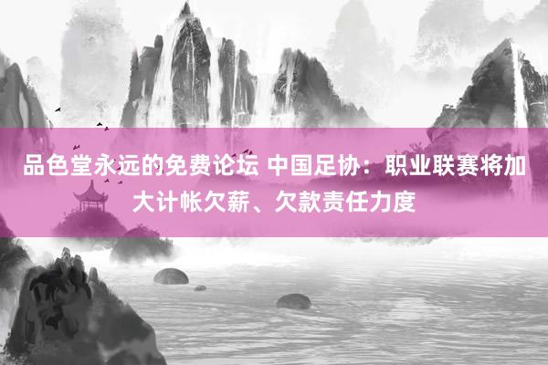 品色堂永远的免费论坛 中国足协：职业联赛将加大计帐欠薪、欠款责任力度