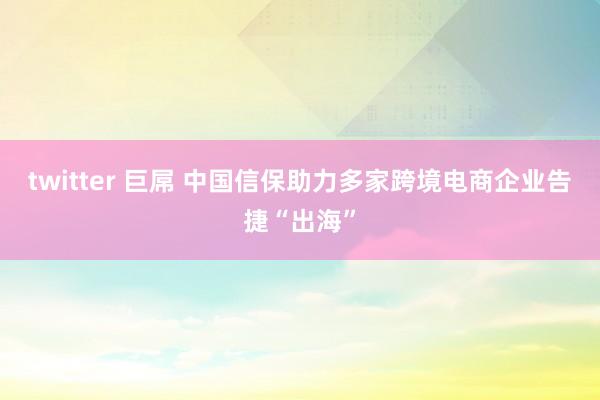 twitter 巨屌 中国信保助力多家跨境电商企业告捷“出海”
