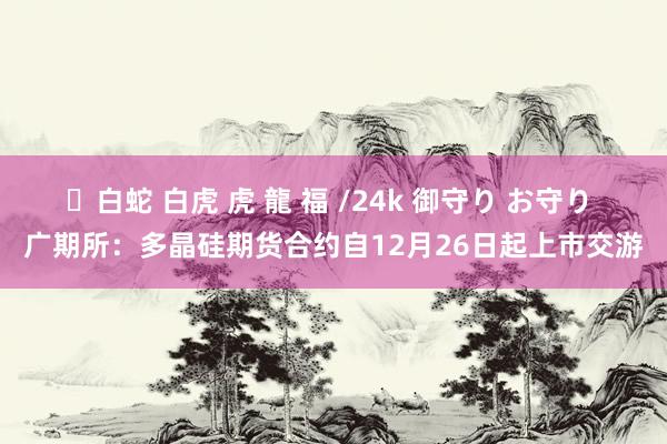 ✨白蛇 白虎 虎 龍 福 /24k 御守り お守り 广期所：多晶硅期货合约自12月26日起上市交游