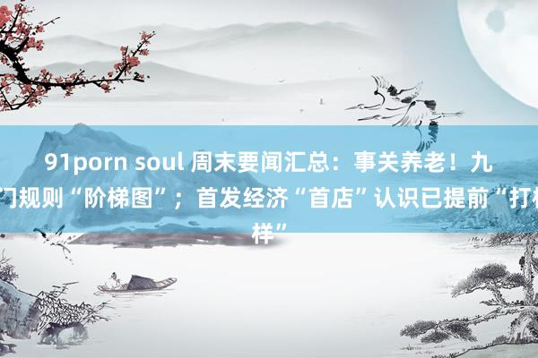 91porn soul 周末要闻汇总：事关养老！九部门规则“阶梯图”；首发经济“首店”认识已提前“打样”