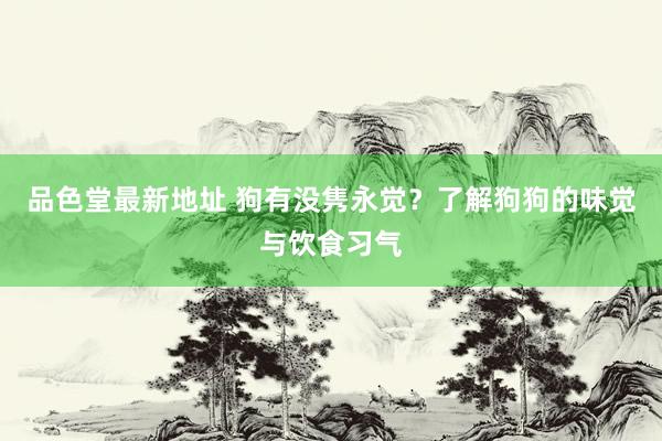 品色堂最新地址 狗有没隽永觉？了解狗狗的味觉与饮食习气