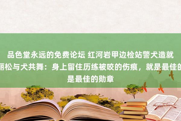 品色堂永远的免费论坛 红河岩甲边检站警犬造就员熊丽松与犬共舞：身上留住历练被咬的伤痕，就是最佳的勋章