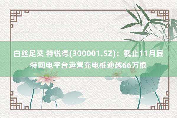 白丝足交 特锐德(300001.SZ)：截止11月底特回电平台运营充电桩逾越66万根