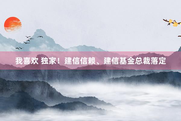 我喜欢 独家！建信信赖、建信基金总裁落定