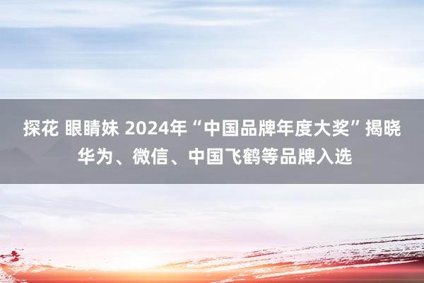 探花 眼睛妹 2024年“中国品牌年度大奖”揭晓 华为、微信、中国飞鹤等品牌入选