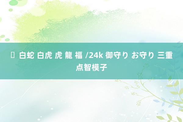 ✨白蛇 白虎 虎 龍 福 /24k 御守り お守り 三重点智模子
