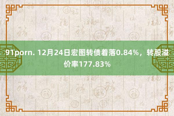 91porn. 12月24日宏图转债着落0.84%，转股溢价率177.83%