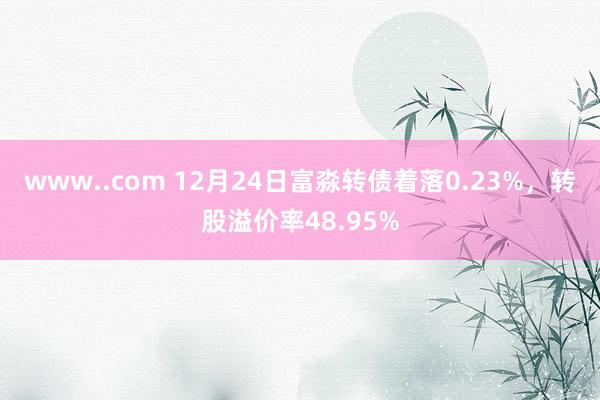 www..com 12月24日富淼转债着落0.23%，转股溢价率48.95%