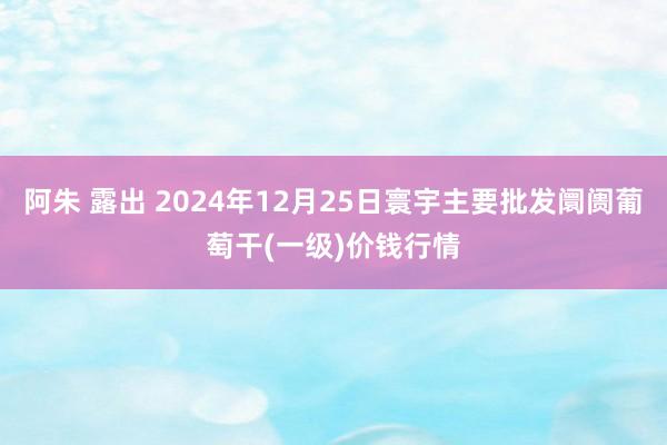 阿朱 露出 2024年12月25日寰宇主要批发阛阓葡萄干(一级)价钱行情