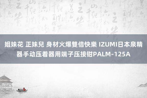 姐妹花 正妹兒 身材火爆雙倍快樂 IZUMI日本泉精器手动压着器用端子压接钳PALM-125A