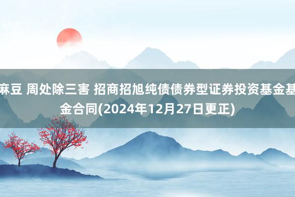 麻豆 周处除三害 招商招旭纯债债券型证券投资基金基金合同(2024年12月27日更正)