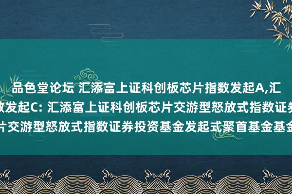 品色堂论坛 汇添富上证科创板芯片指数发起A，汇添富上证科创板芯片指数发起C: 汇添富上证科创板芯片交游型怒放式指数证券投资基金发起式聚首基金基金合同