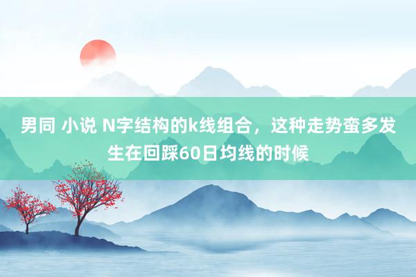 男同 小说 N字结构的k线组合，这种走势蛮多发生在回踩60日均线的时候