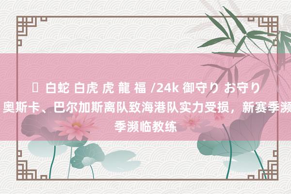✨白蛇 白虎 虎 龍 福 /24k 御守り お守り 津媒：奥斯卡、巴尔加斯离队致海港队实力受损，新赛季濒临教练