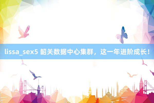 lissa_sex5 韶关数据中心集群，这一年进阶成长！