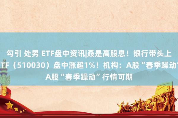 勾引 处男 ETF盘中资讯|叒是高股息！银行带头上攻，价值ETF（510030）盘中涨超1%！机构：A股“春季躁动”行情可期