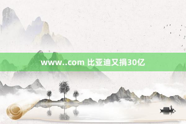 www..com 比亚迪又捐30亿