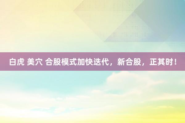 白虎 美穴 合股模式加快迭代，新合股，正其时！