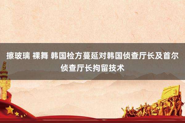 擦玻璃 裸舞 韩国检方蔓延对韩国侦查厅长及首尔侦查厅长拘留技术