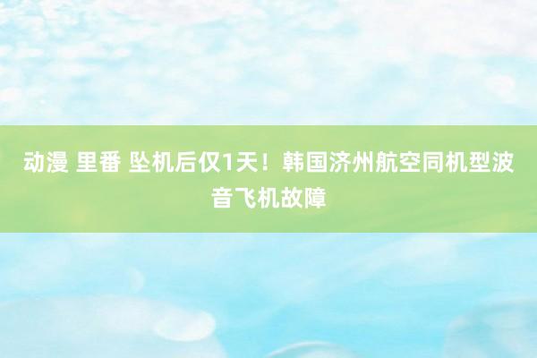 动漫 里番 坠机后仅1天！韩国济州航空同机型波音飞机故障