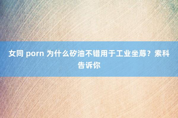 女同 porn 为什么矽油不错用于工业坐蓐？索科告诉你