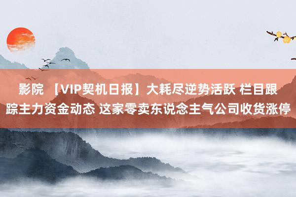 影院 【VIP契机日报】大耗尽逆势活跃 栏目跟踪主力资金动态 这家零卖东说念主气公司收货涨停