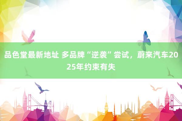 品色堂最新地址 多品牌“逆袭”尝试，蔚来汽车2025年约束有失