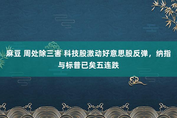麻豆 周处除三害 科技股激动好意思股反弹，纳指与标普已矣五连跌
