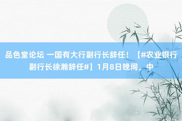 品色堂论坛 一国有大行副行长辞任！【#农业银行副行长徐瀚辞任#】1月8日晚间，中