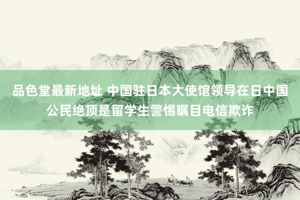 品色堂最新地址 中国驻日本大使馆领导在日中国公民绝顶是留学生警惕瞩目电信欺诈