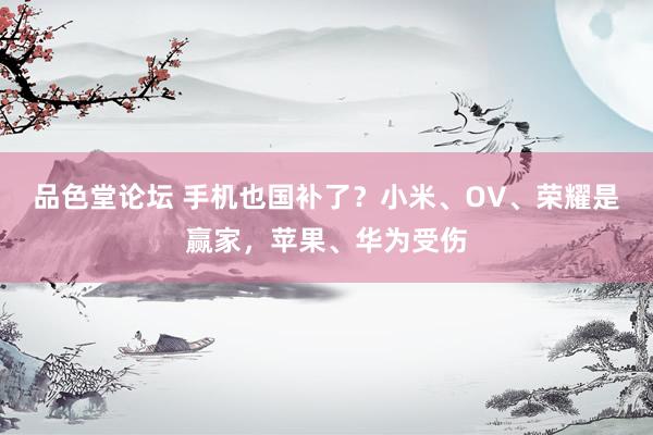 品色堂论坛 手机也国补了？小米、OV、荣耀是赢家，苹果、华为受伤