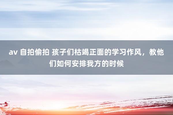 av 自拍偷拍 孩子们枯竭正面的学习作风，教他们如何安排我方的时候