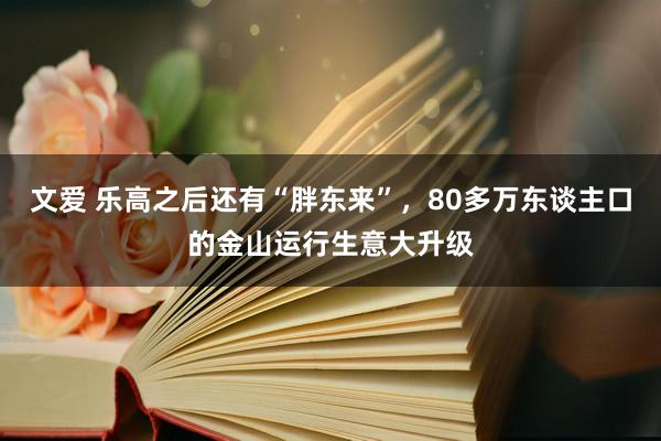 文爱 乐高之后还有“胖东来”，80多万东谈主口的金山运行生意大升级