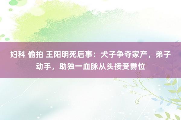 妇科 偷拍 王阳明死后事：犬子争夺家产，弟子动手，助独一血脉从头接受爵位