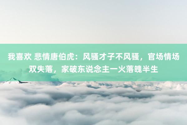 我喜欢 悲情唐伯虎：风骚才子不风骚，官场情场双失落，家破东说念主一火落魄半生
